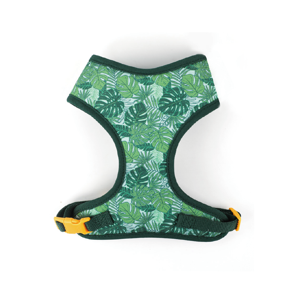 Harness for Dogs